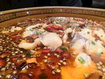 麻麻鱼