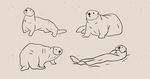 手绘简笔画海獭插画AI矢量图