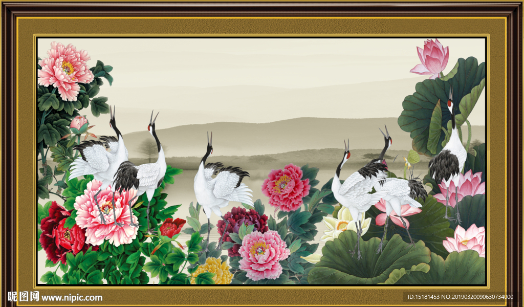 荷花图