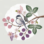花鸟