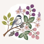 花鸟