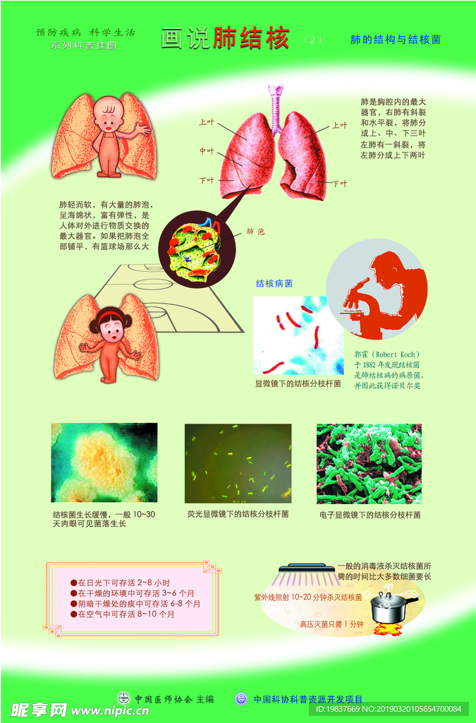 画说肺结核宣传挂图