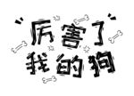 网络流行语 厉害了我的狗
