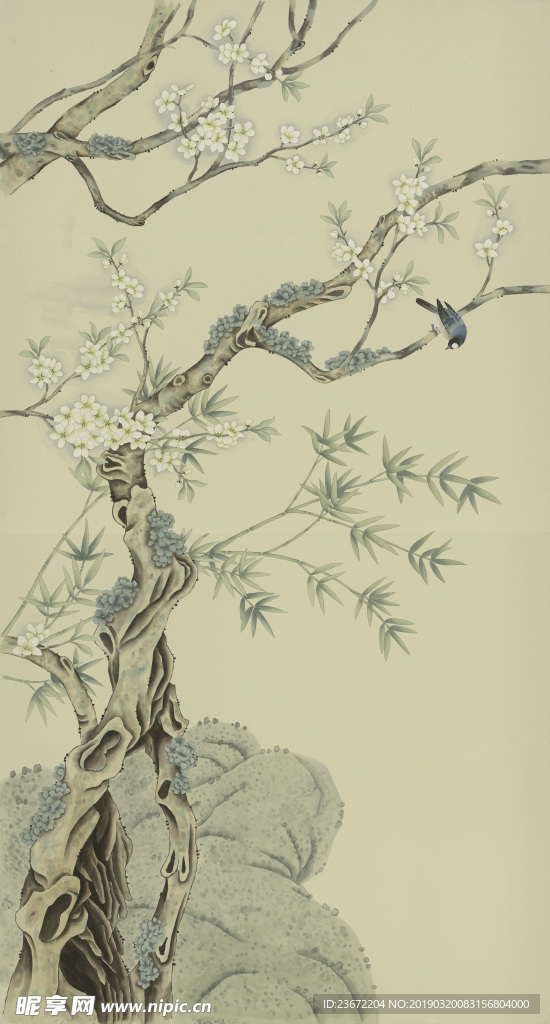 鸟