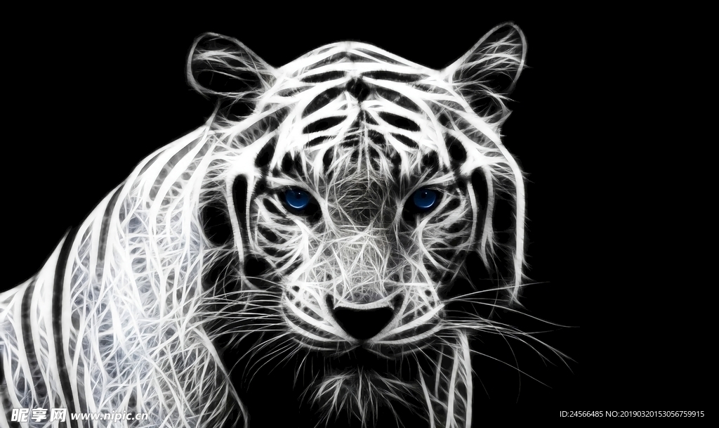 黑白老虎