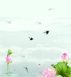 荷花背景