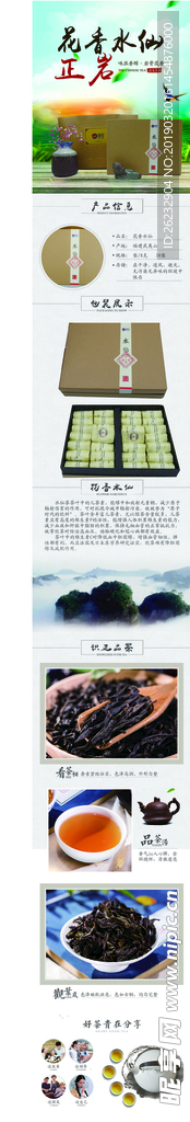 花香水仙 茶 红茶  武夷山