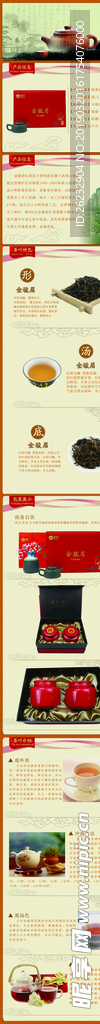 金骏眉 茶 红茶 武夷山 岩茶