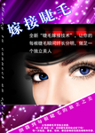 睫毛