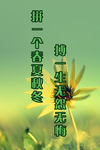梦想