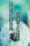 工作海报