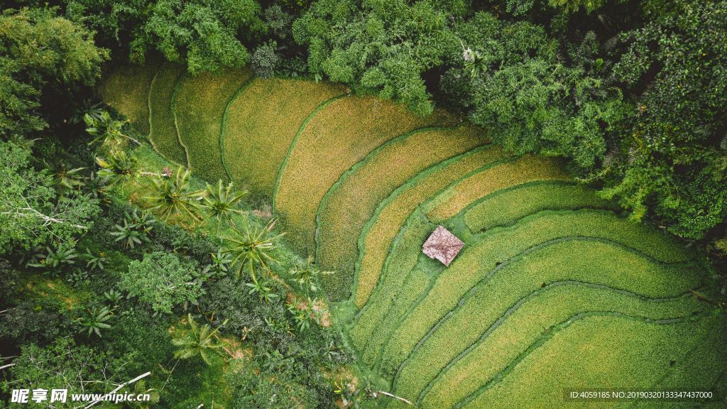 绿色背景