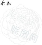 茶花矢量图