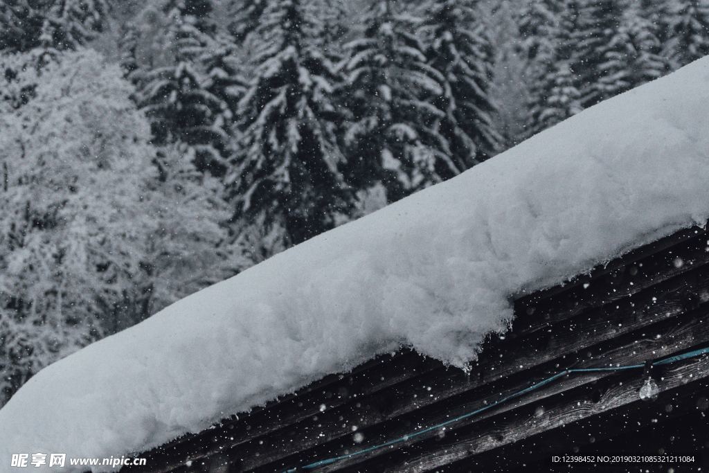 美丽的雪景