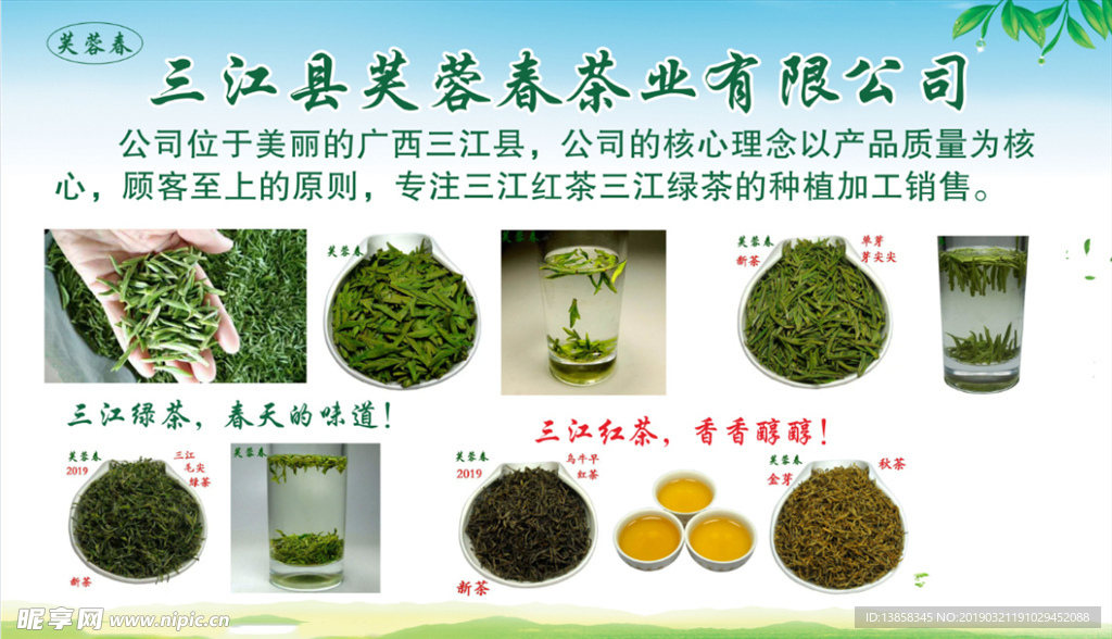 芙蓉春茶业