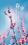 春分小清新海报