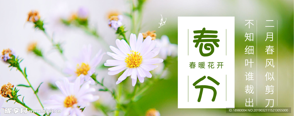 春分微信banner