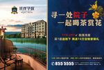 庭院洋房单页