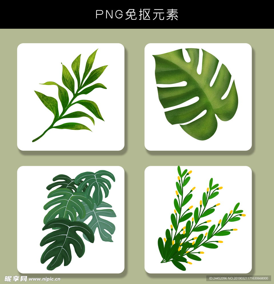 手绘植物