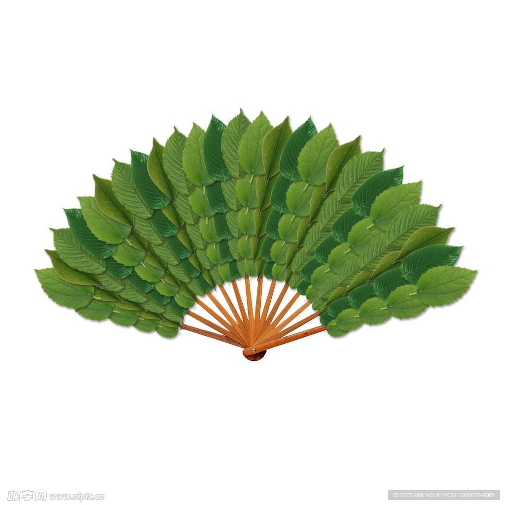 树叶扇子