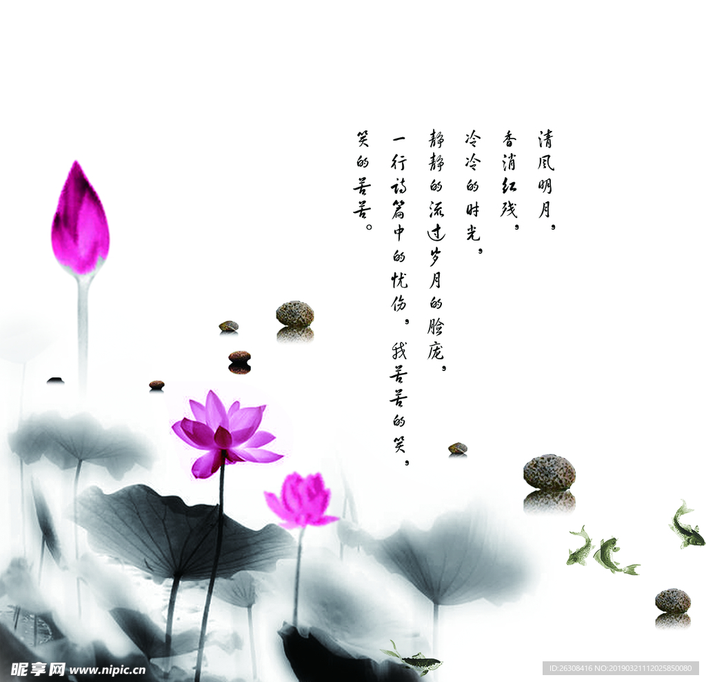 画册 文化   图片 排版 中