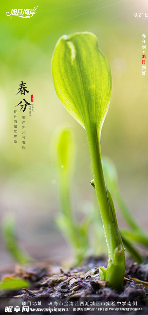 春分海报
