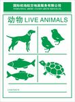 机场动物标签
