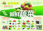 不干胶  彩页