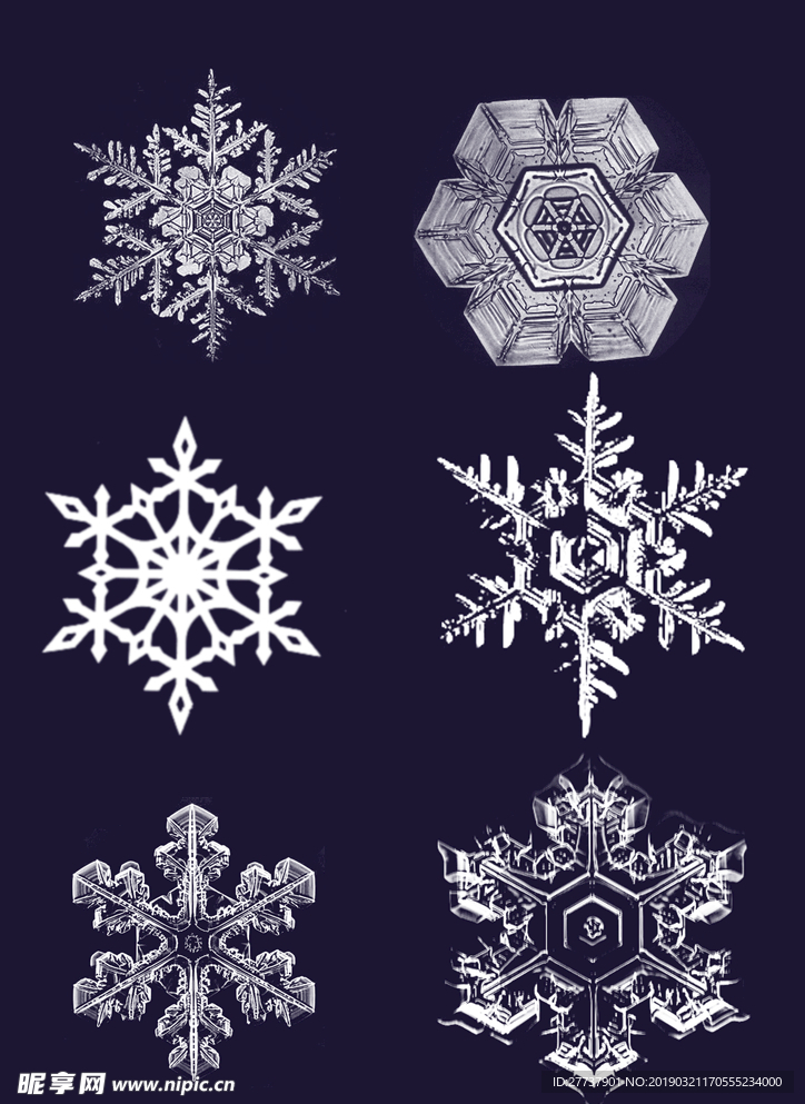 雪花