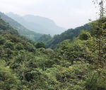 白水寨