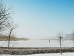 四季 雪景 湖面 楼 树木