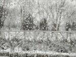 雨夹雪模糊玻璃透视景