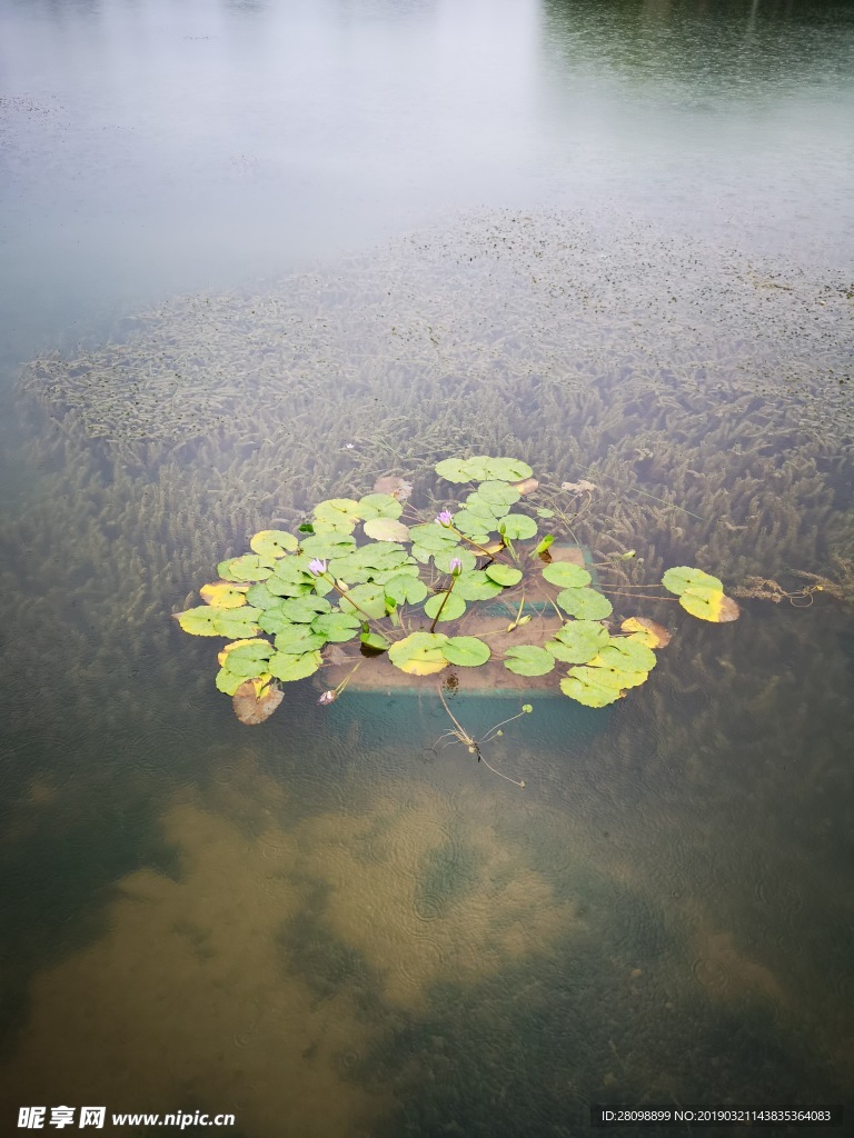 景点七星岩