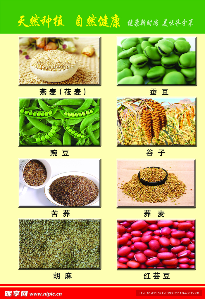 小杂粮画册