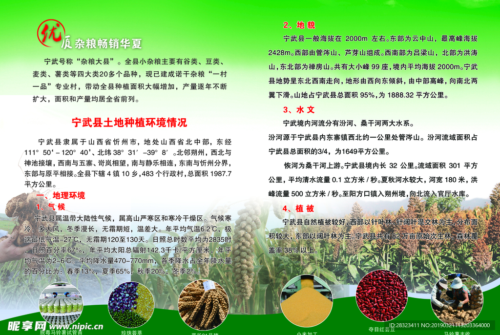 小杂粮画册