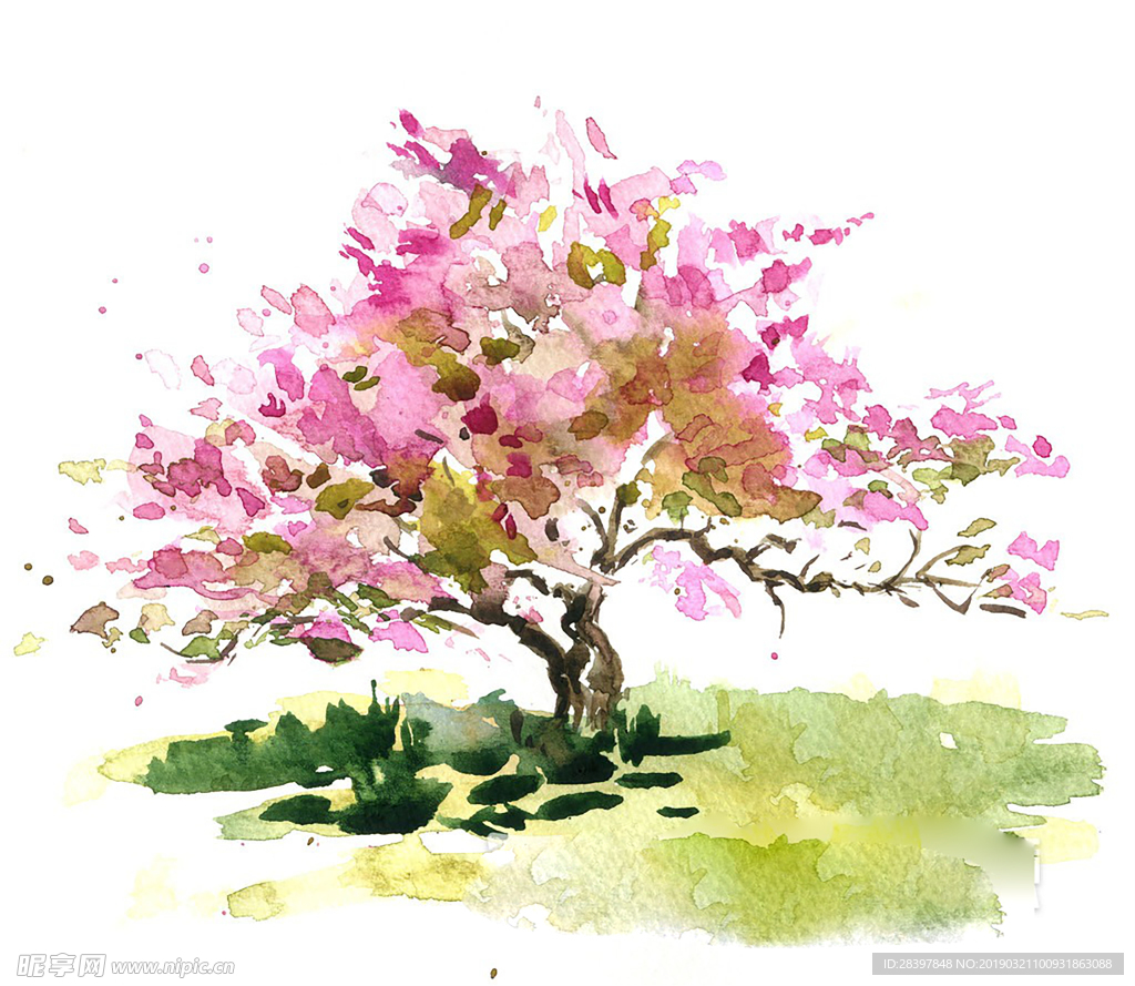 桃花
