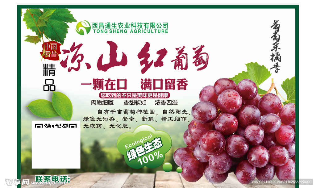 葡萄