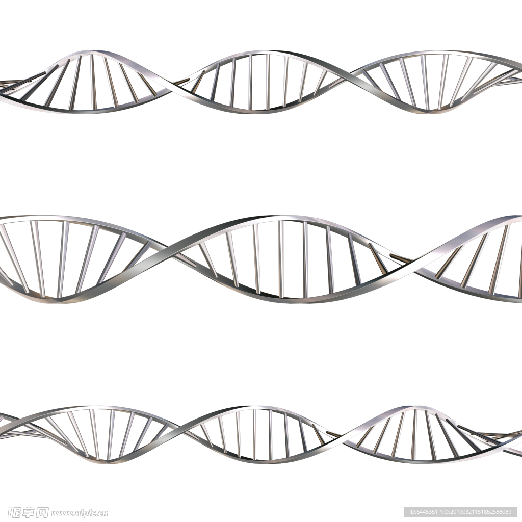 基因链DNA