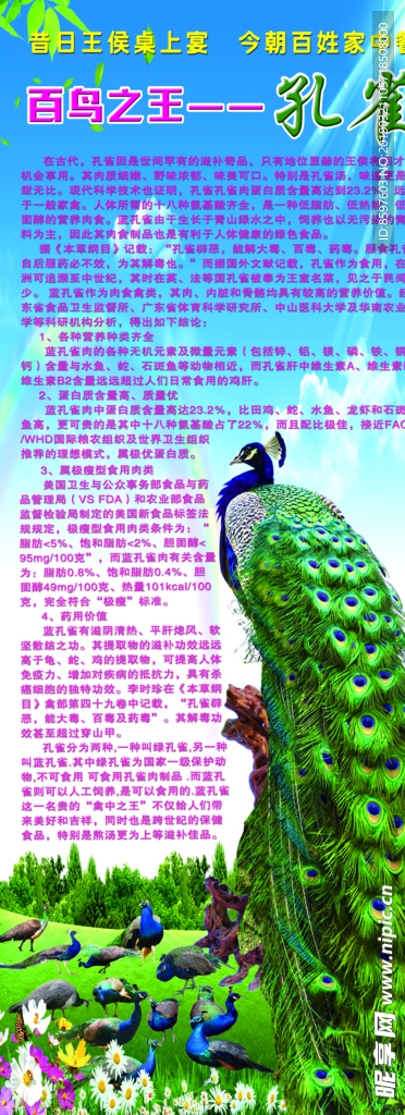 孔雀广告