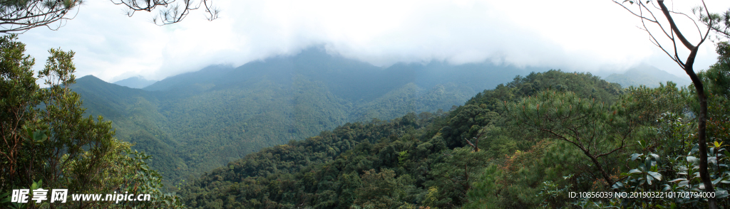 上思十万大山