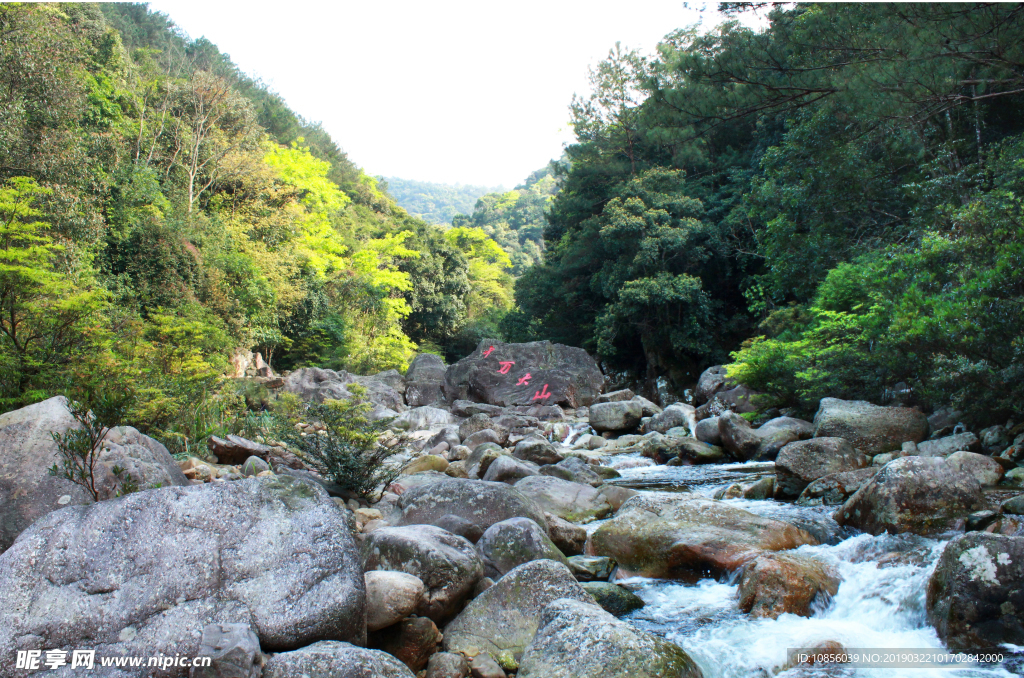 上思十万大山