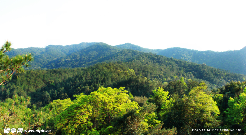 上思十万大山