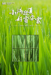 小满
