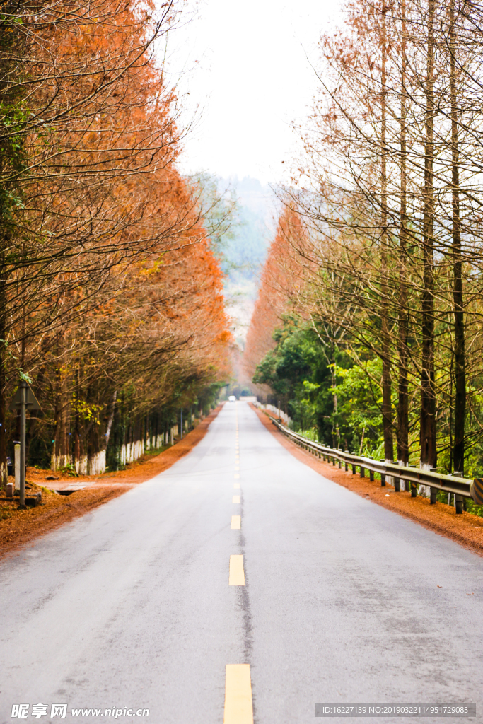 深秋的乡村道路