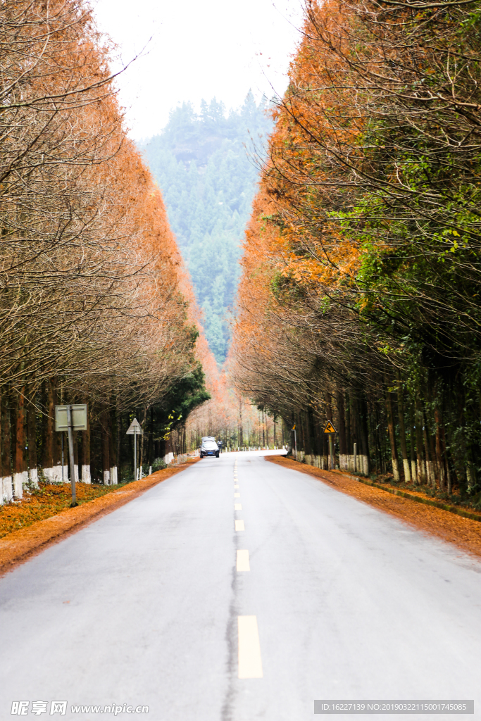 初冬的乡村道路