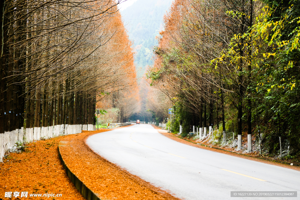 秋天的乡村公路