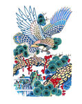 雄鹰