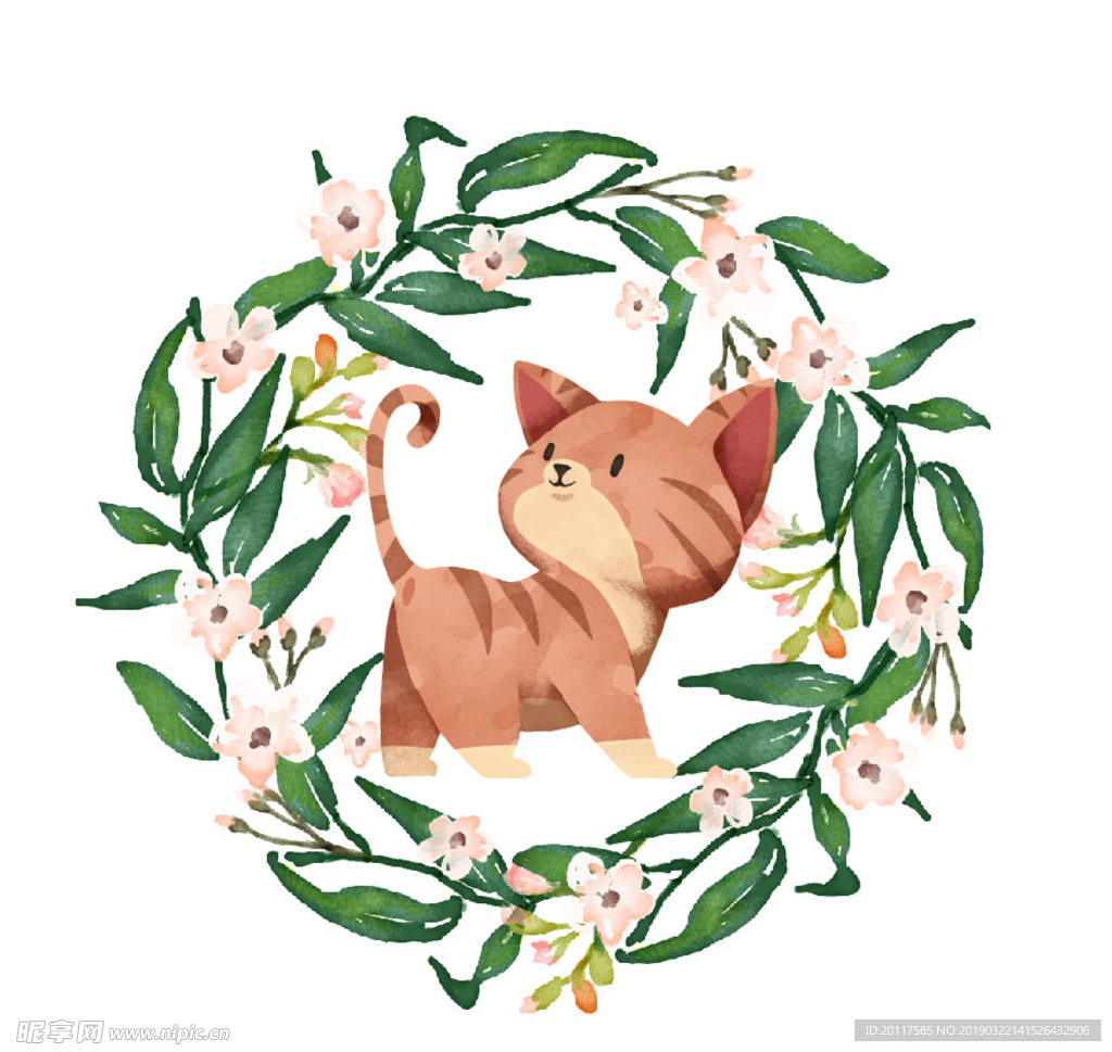 猫咪
