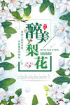 梨花
