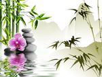 竹子背景墙
